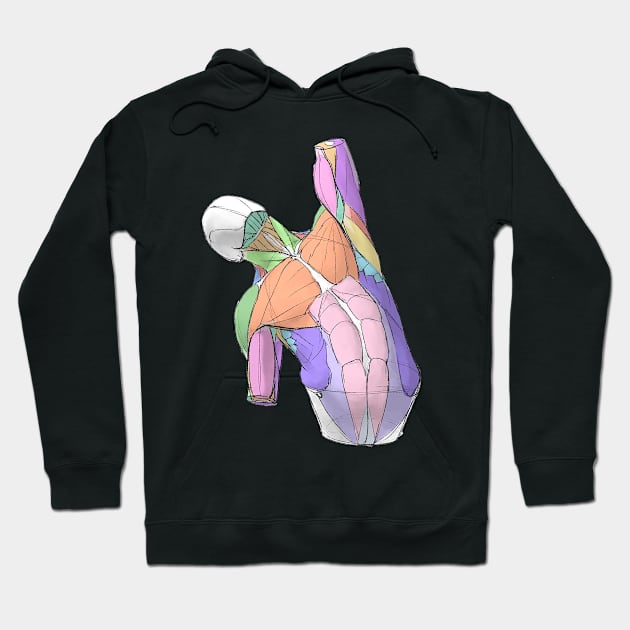 human body anatomy 6 Hoodie by katoanatomy